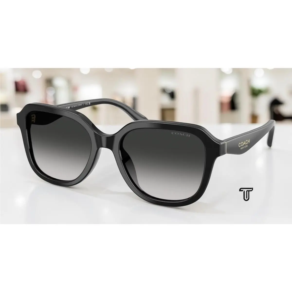 Coach HC8437U 50023C Cby87 Black Grey Gradient 53 mm Women`s Sunglasses