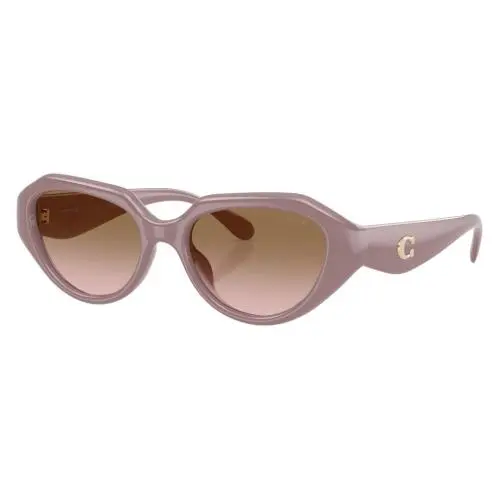 Coach Women`s 52mm Transparent Grey Sunglasses HC8433U-549511-52
