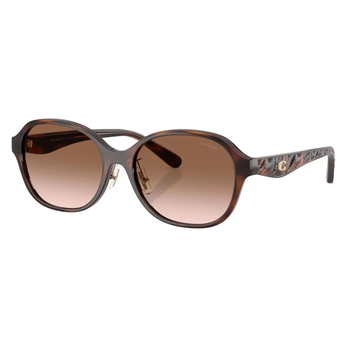Coach Women`s 56mm Transparent Brown Sunglasses HC8445D-512013-56