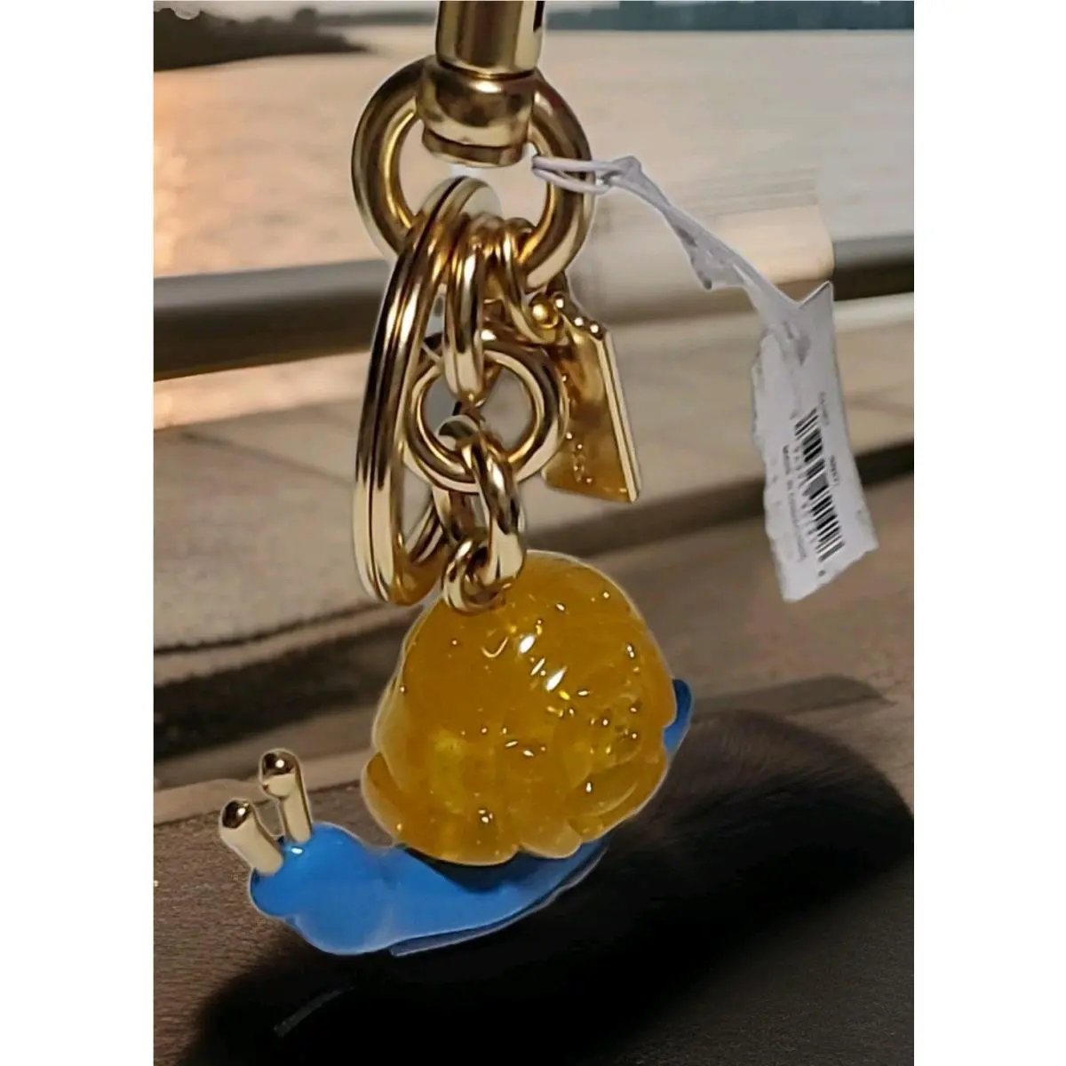 Coach X Observed BY US Snail Key Ring/bag Charm CU307