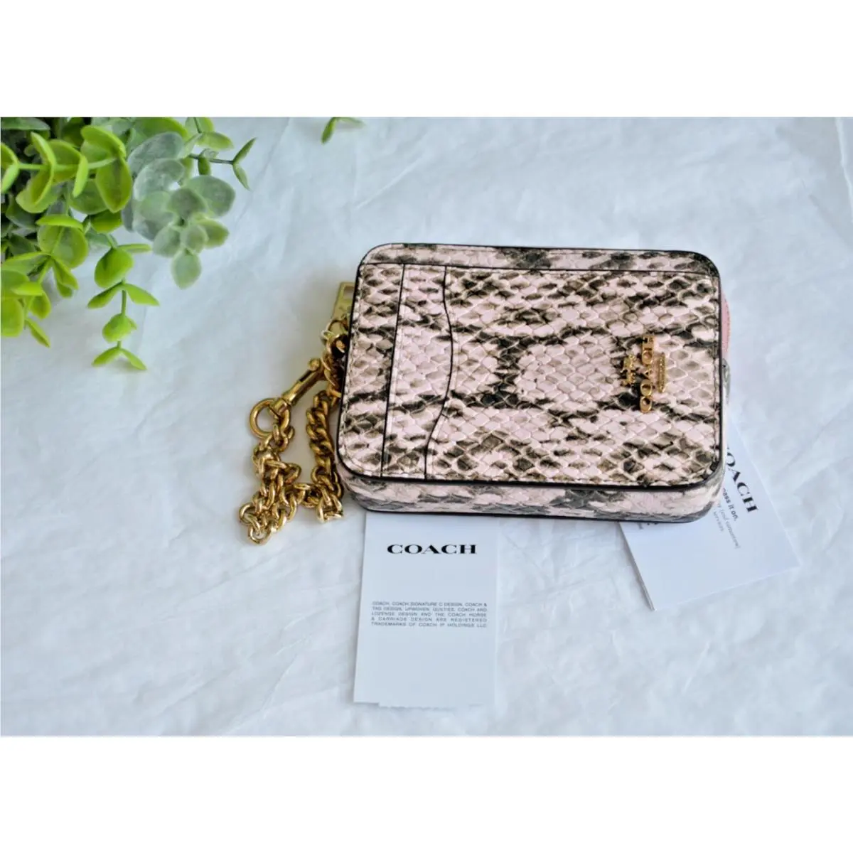 Coach Zip Card Case CEC53 Pink Snake Embossed Leather