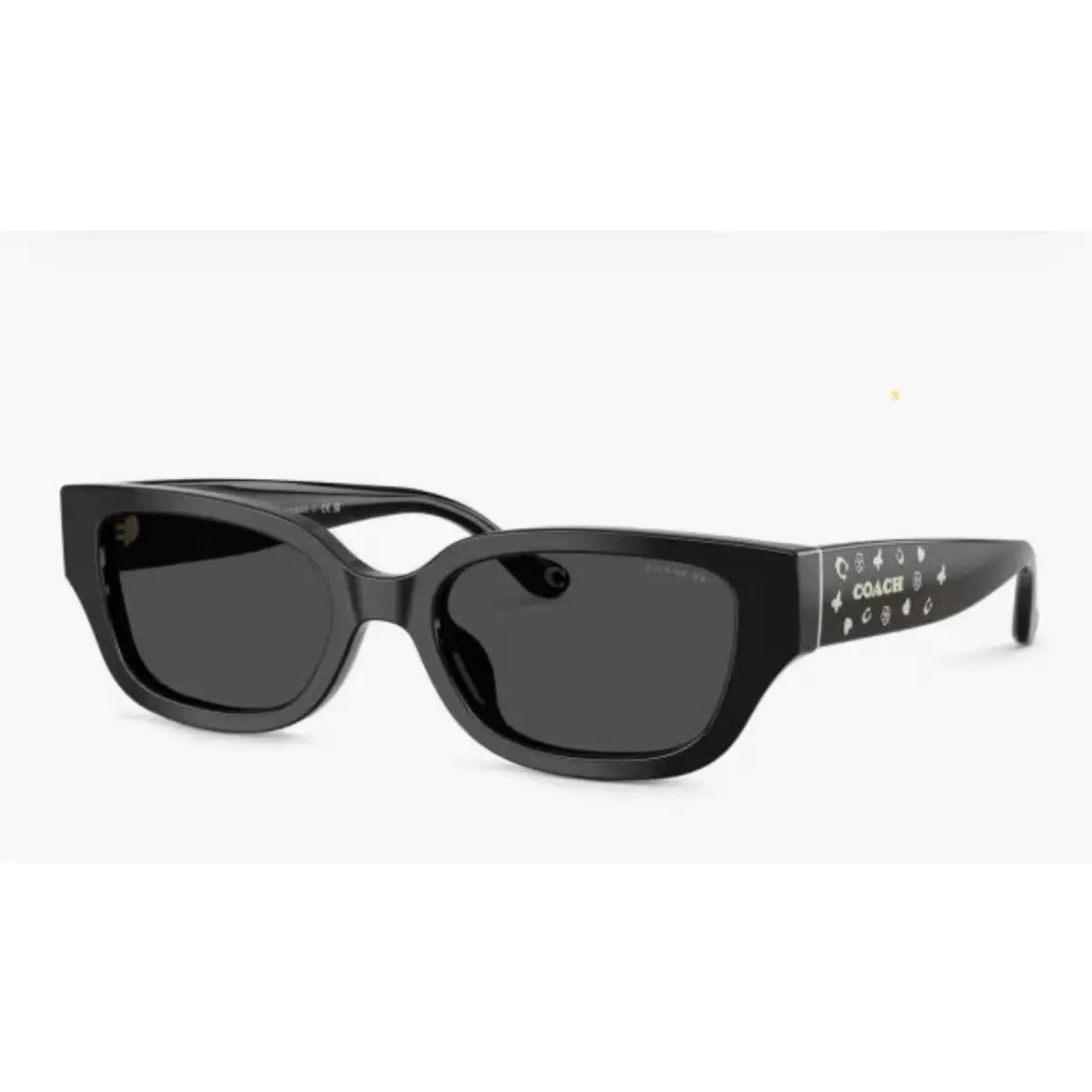 Coach Black Frame Grey Lens Sunglasses HC8439U