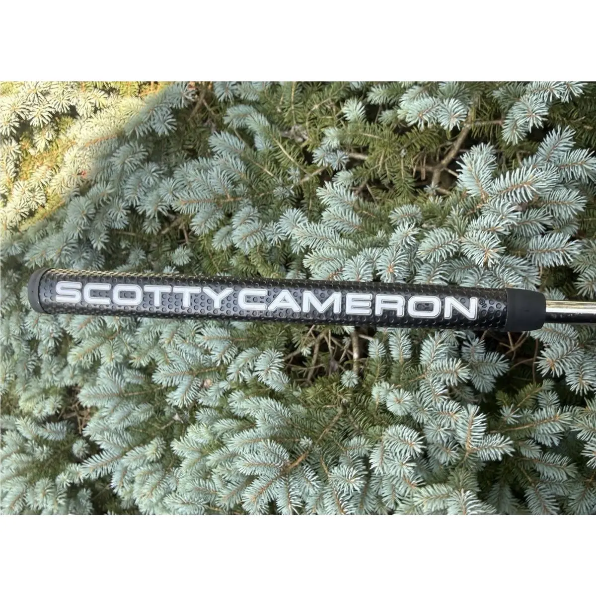 Scott  - Newport - Newport - Lie Angle: Silver 3