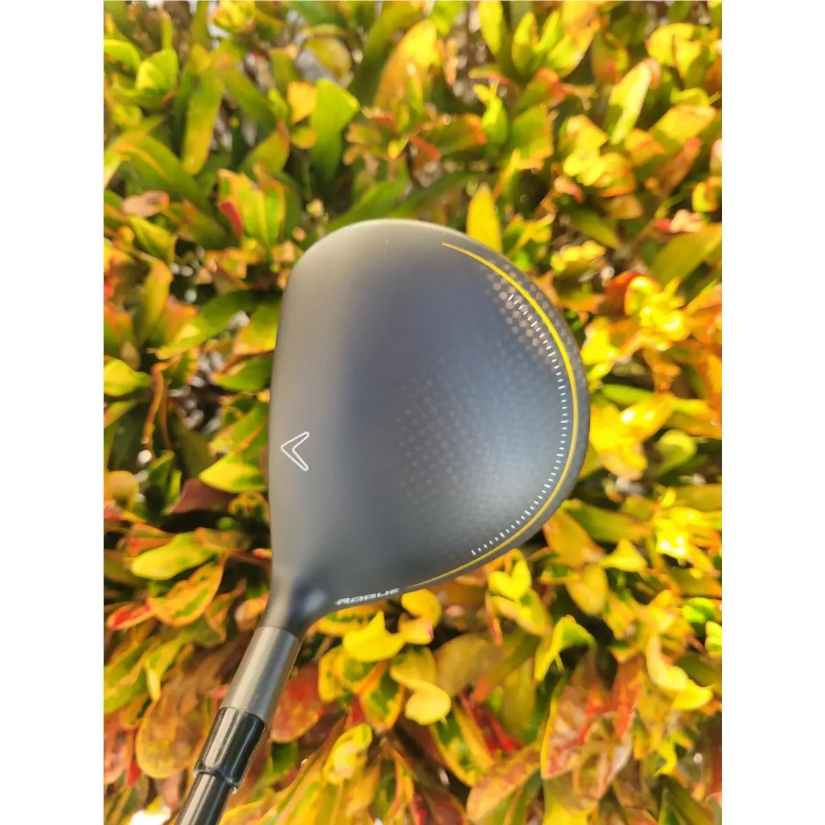 Callaway  - Rogue - Rogue 1