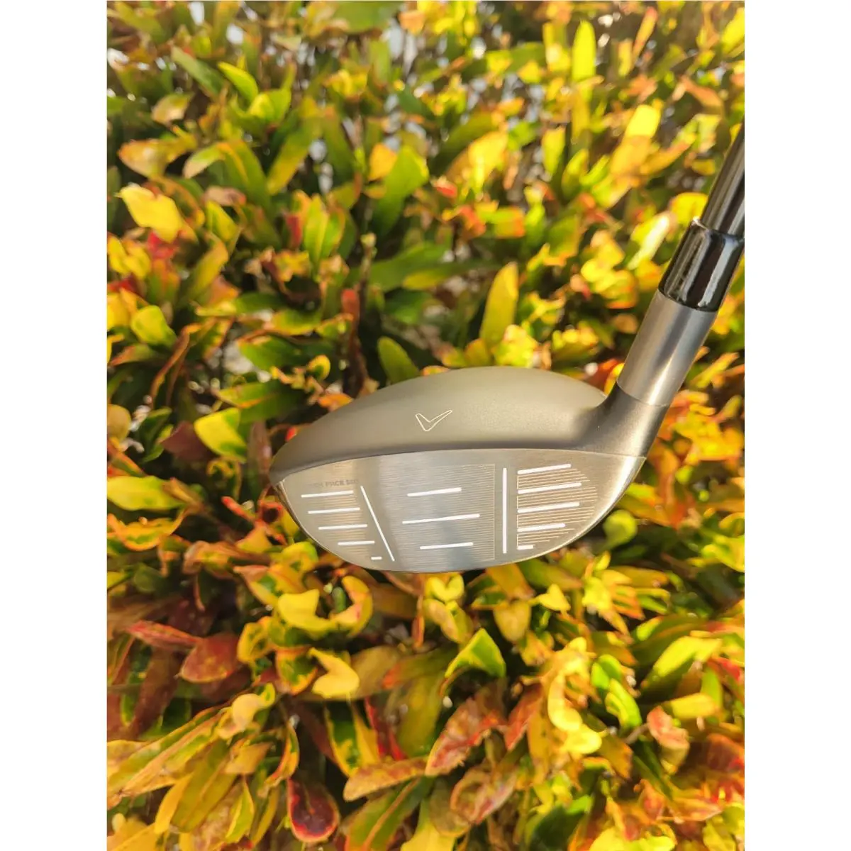 Callaway  - Rogue - Rogue 2