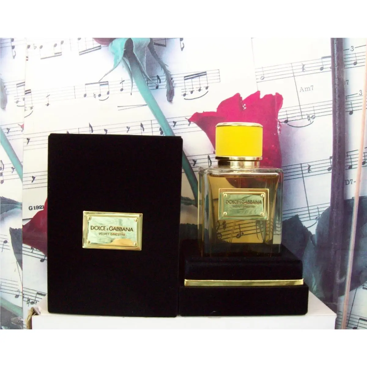 Dolce Gabbana Velvet Ginestra Pour Femme 5.0 Fl. Oz. Edp Spray