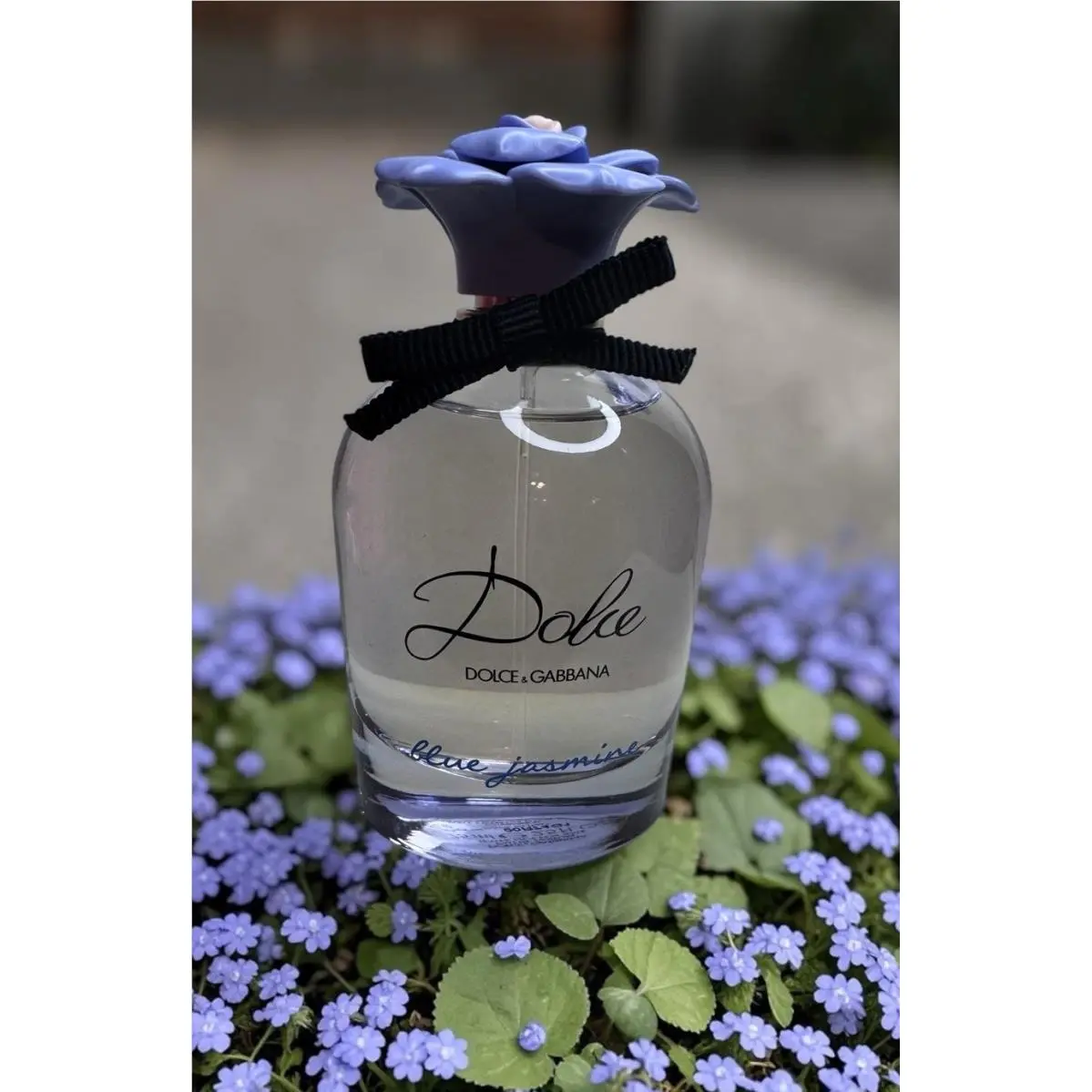 Dolce Blue Jasmine-dolce GABBANA-WOM-EDP-SPRAY-2.5 OZ-75ML-AUTHENTIC-TST-ITALY by Dolce & Gabbana