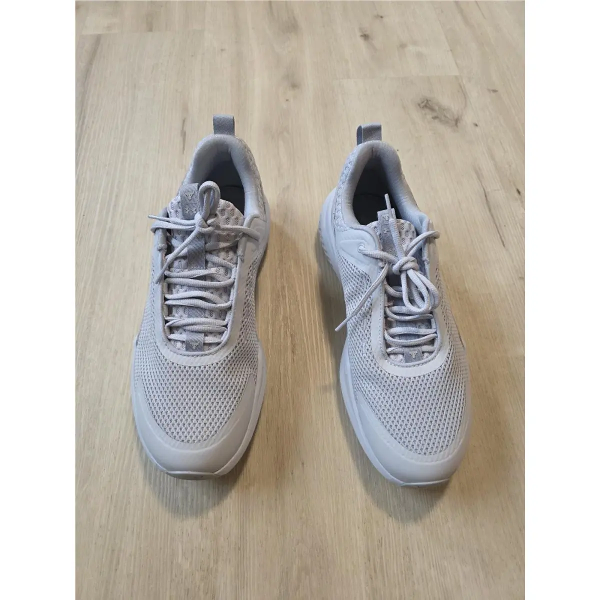 Under Armour shoes - Under Armour Project Rock BSR 5 - 3028296-100 - Halo Gray 4