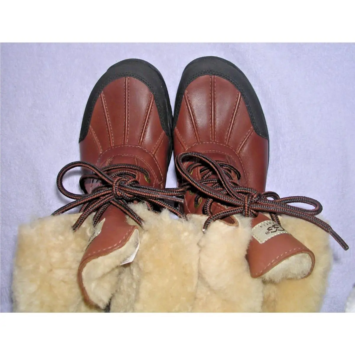 UGG shoes - UGG 5521 - Brown 6