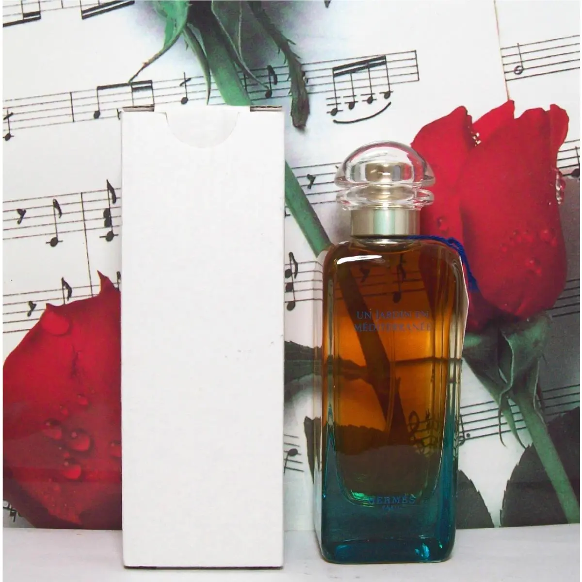 Un Jardin En Mediterranee Edt Spray 3.3 Oz. By  Amber Blue. Ntwb by Hermes
