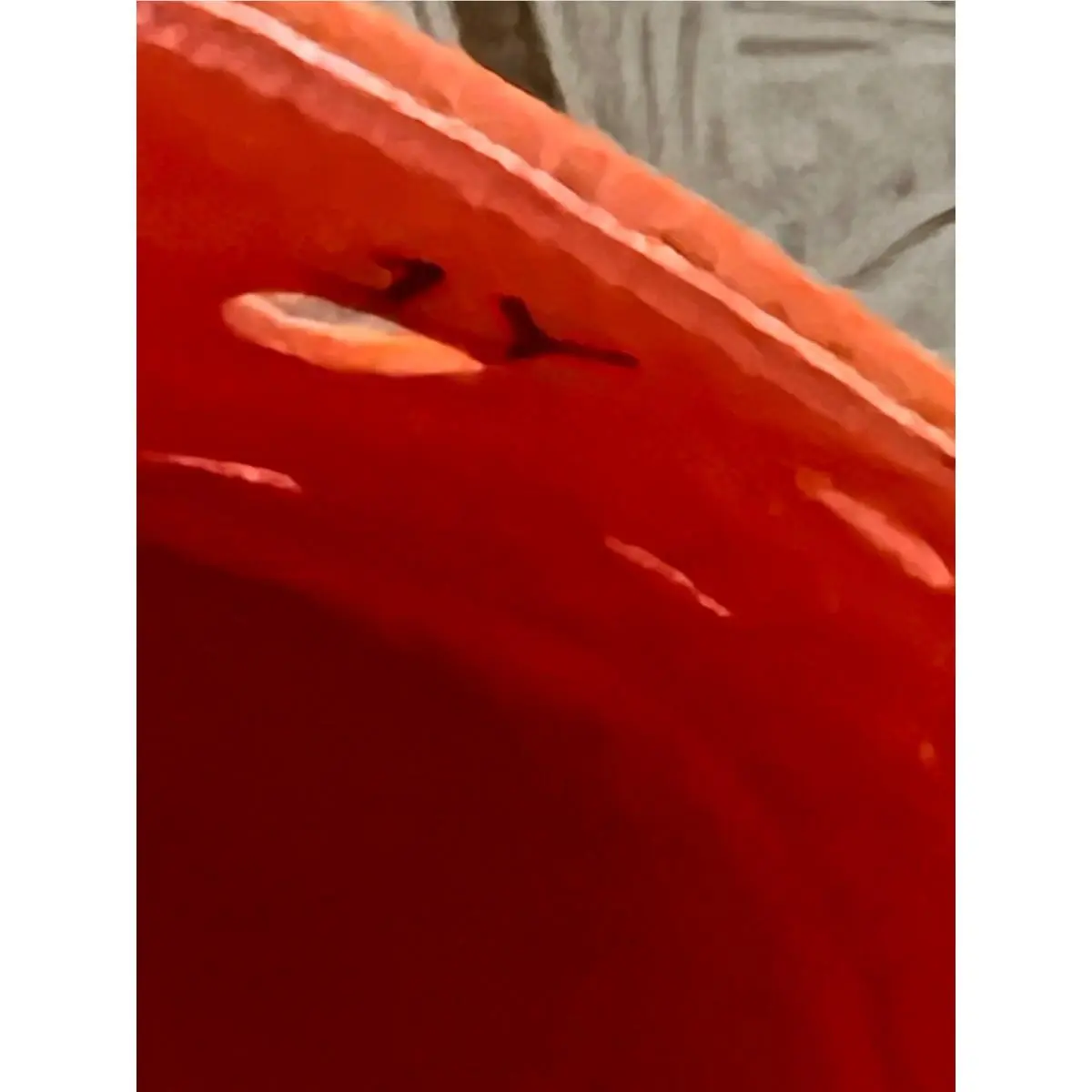 Nike shoes - Aqua Swoosh - Aqua Swoosh - Orange 1