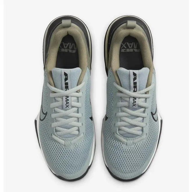 Nike shoes - AIR MAX ALPHA TRANIER 6 - FQ1833 007 - LIGHT SILVER/BLACK/ANTHRCITE 6