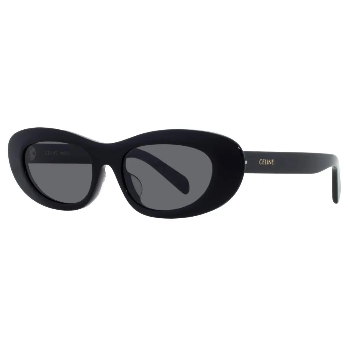 Celine Smoke Oval Ladies Sunglasses CL40310U 01A 54 CL40310U 01A 54