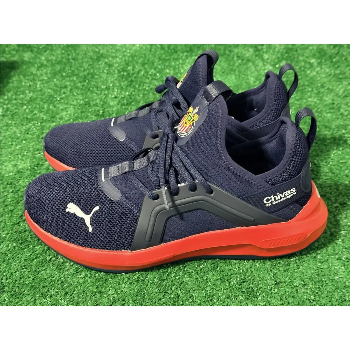 Puma shoes - PUMA Softride Enzo 5 Chivas - 313042-02 - Blue (UPC: 198555056990) 2
