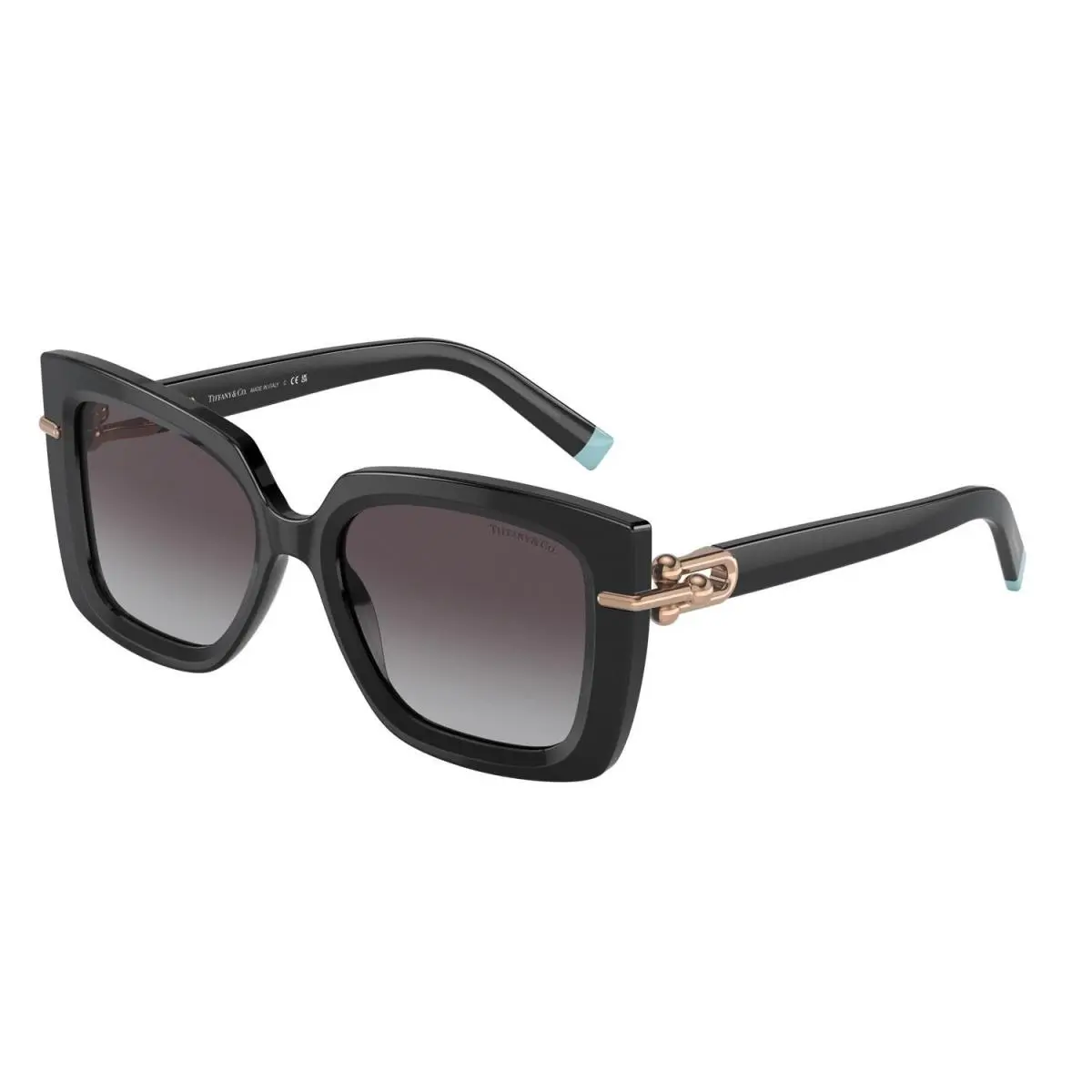 Tiffany 4199 Age Group Sunglasses 80013C Black by Tiffany & Co.