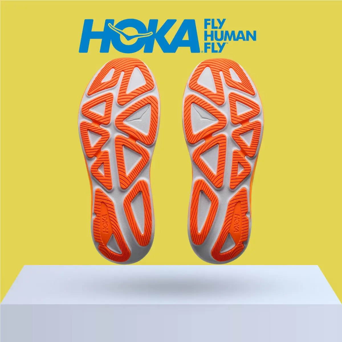 Hoka shoes - Hoka One One Clifton PRO - Stucco/Virtual Blue 18