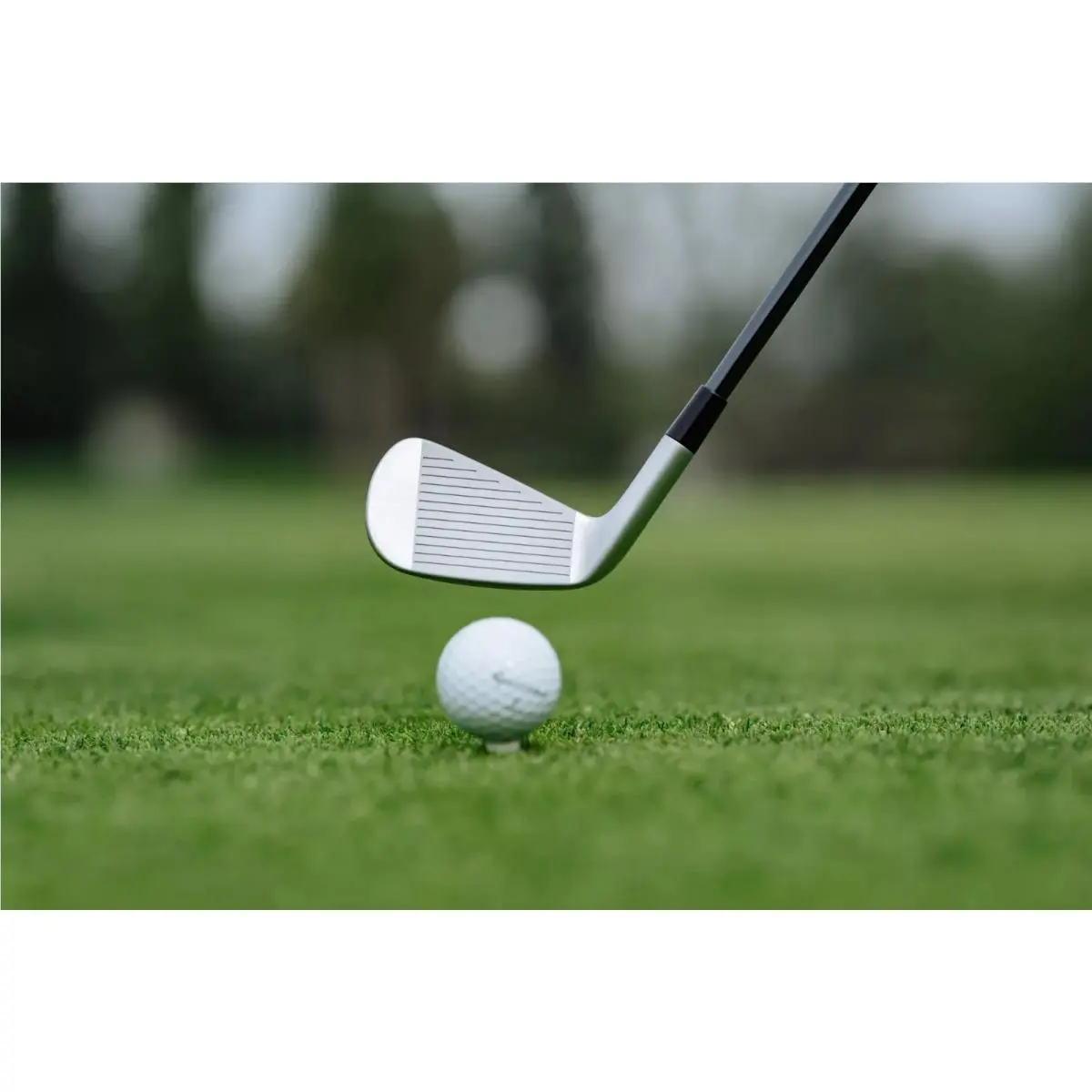 TaylorMade  - TaylorMade P-UDI 4
