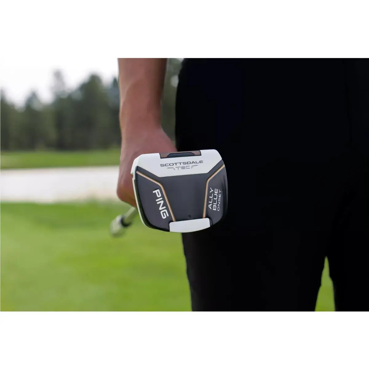 Ping  - PING Scottsdale TEC Ally Blue Onset Counter-Balanced Putter - Blue, Lie Angle: Black 4