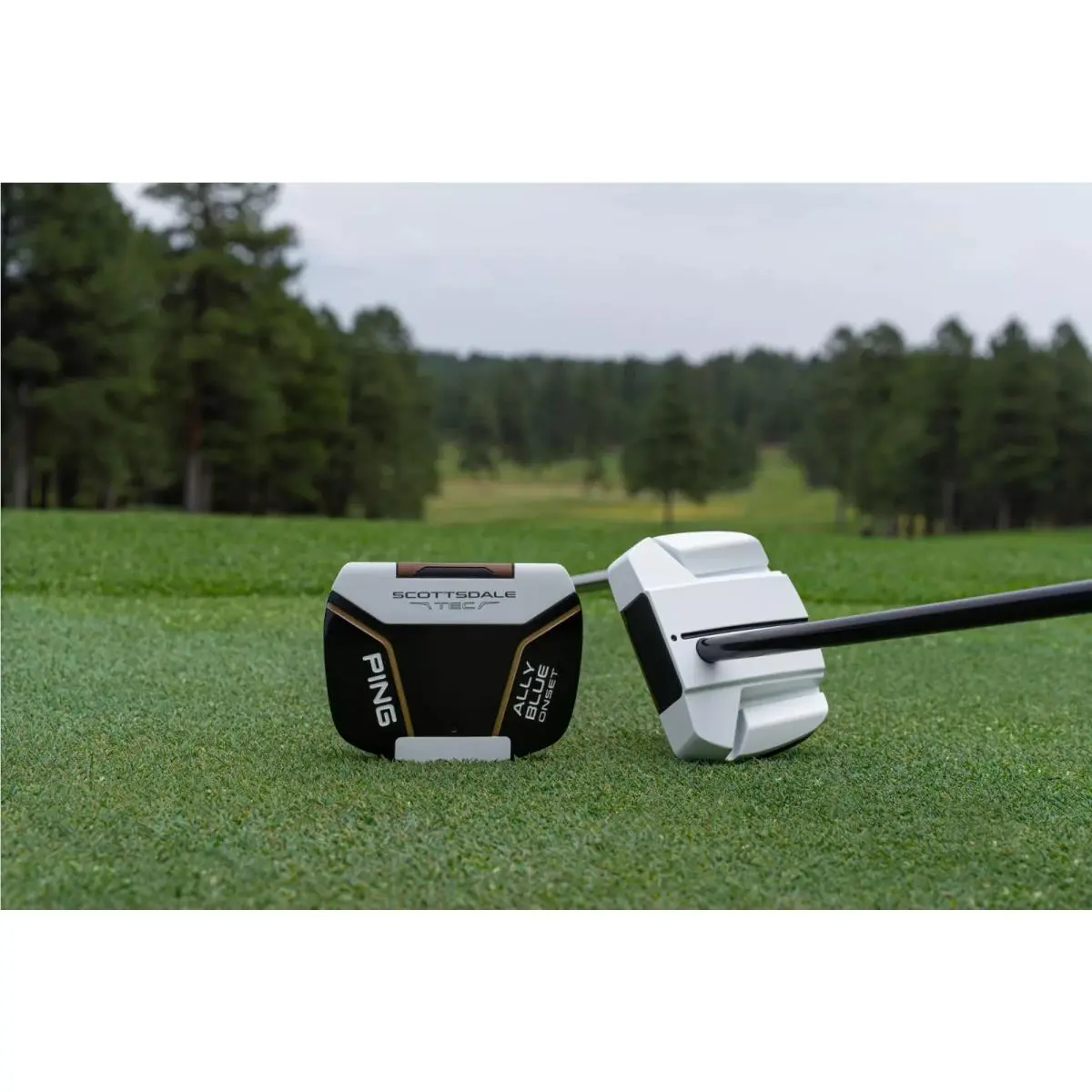 Ping  - PING Scottsdale TEC Ally Blue Onset Counter-Balanced Putter - Blue, Lie Angle: Black 5