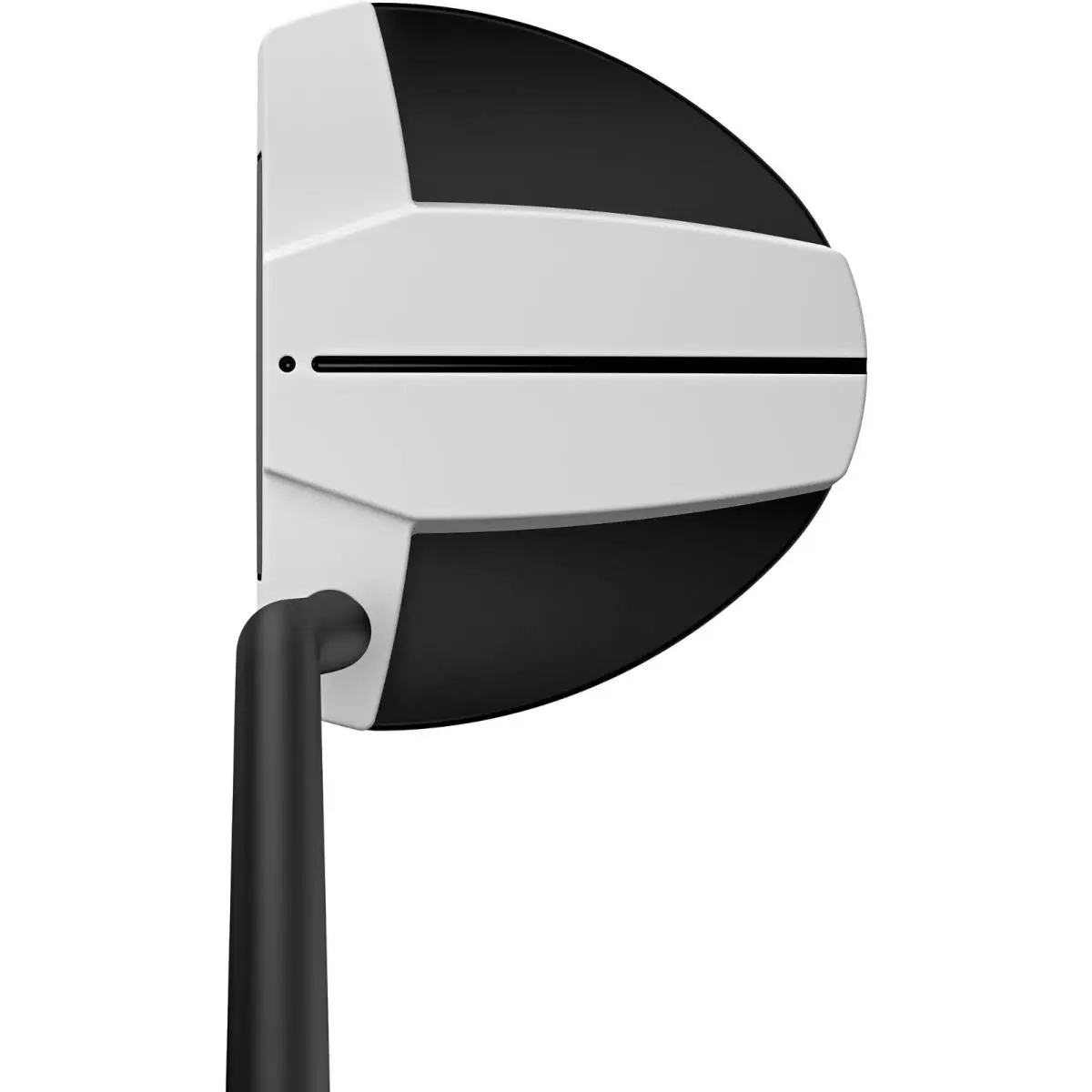 Ping  - PING Scottsdale TEC Hayden Putter - Blue, Lie Angle: Black 0
