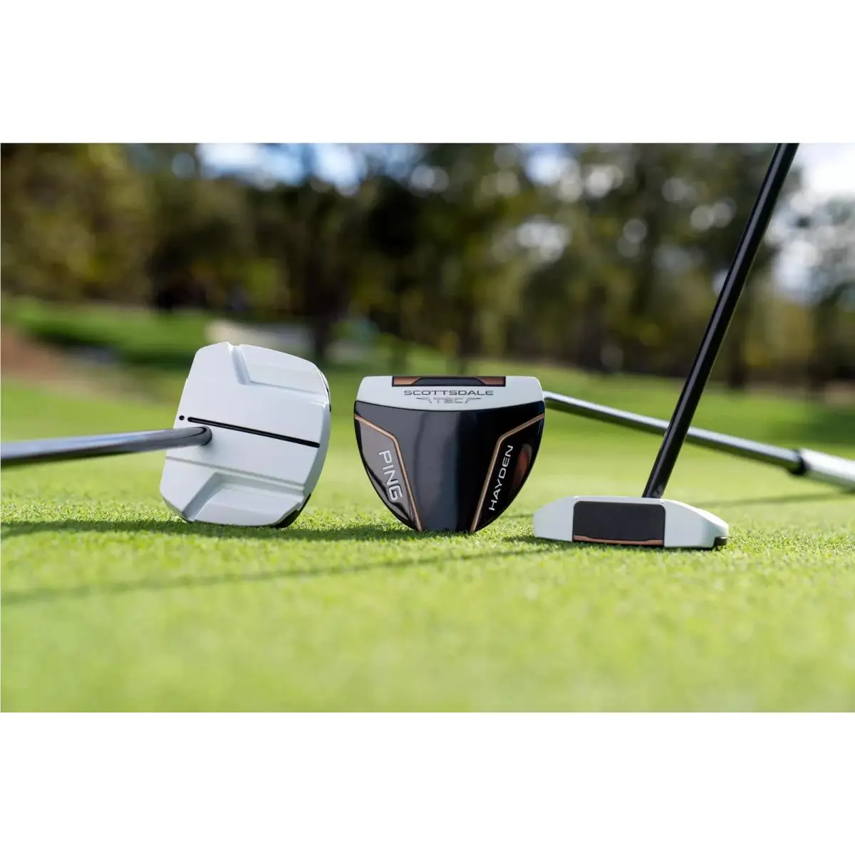 Ping  - PING Scottsdale TEC Hayden Putter - Blue, Lie Angle: Black 8