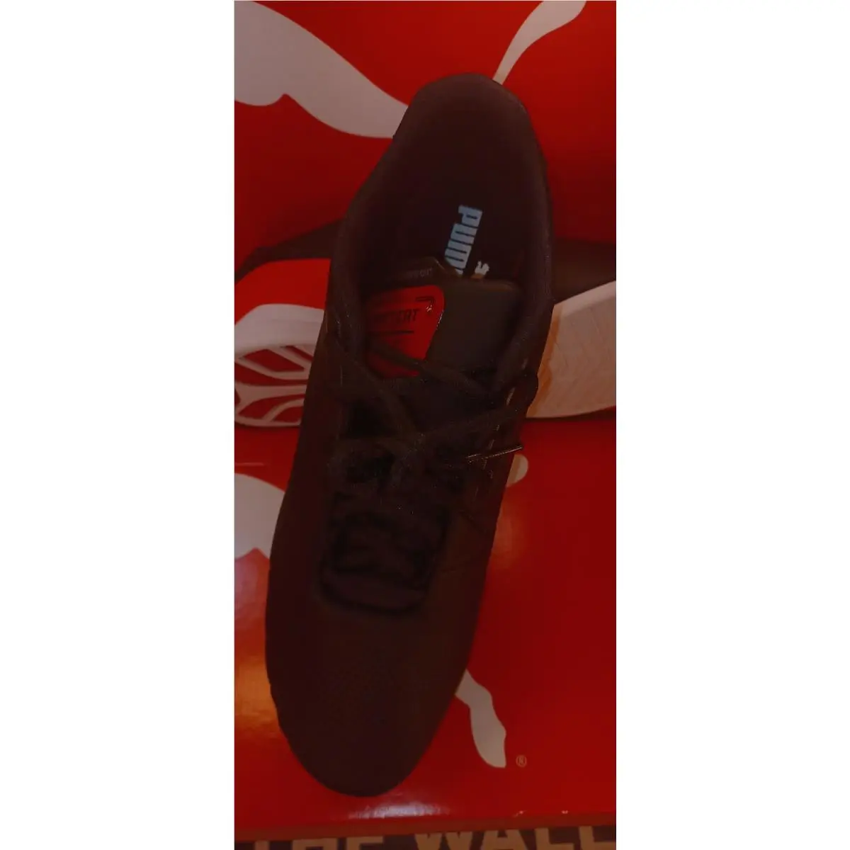 Puma shoes - Drift Cat 8 - Drift Cat - 306818-01 - Black 2