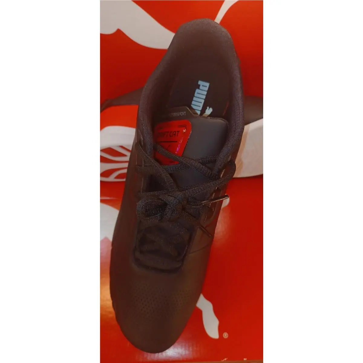 Puma shoes - Drift Cat 8 - Drift Cat - 306818-01 - Black 13