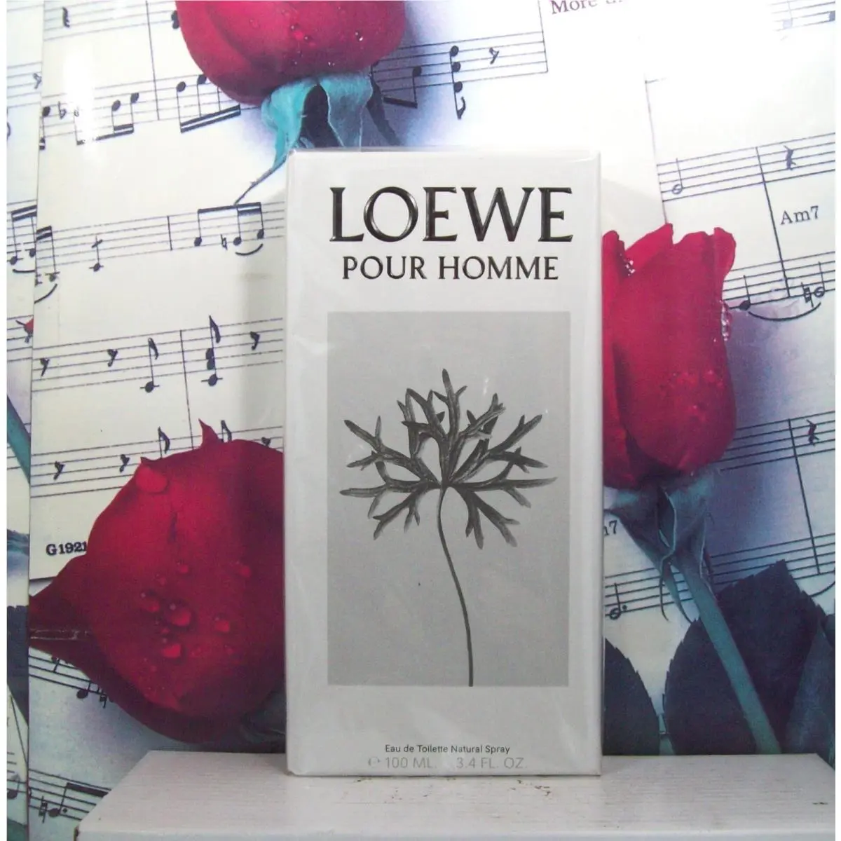 Pour Homme 3.4 Oz. Edt Spray by Loewe