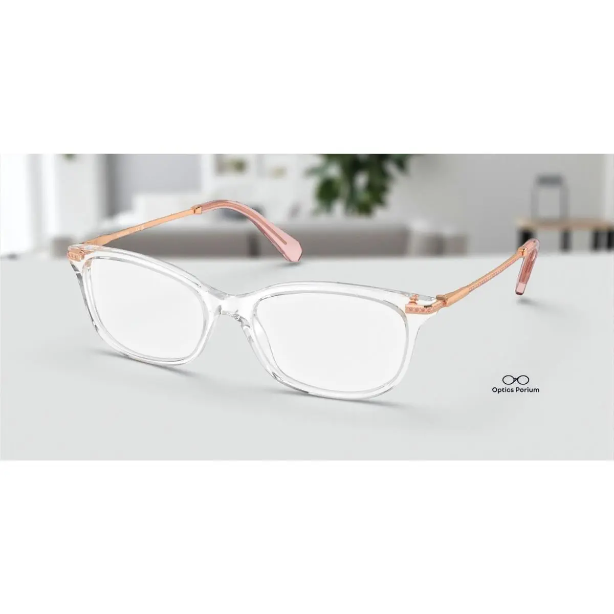 Swarovski SK2017 1027 Transparent Demo Lens 54 mm Women`s Eyeglasses