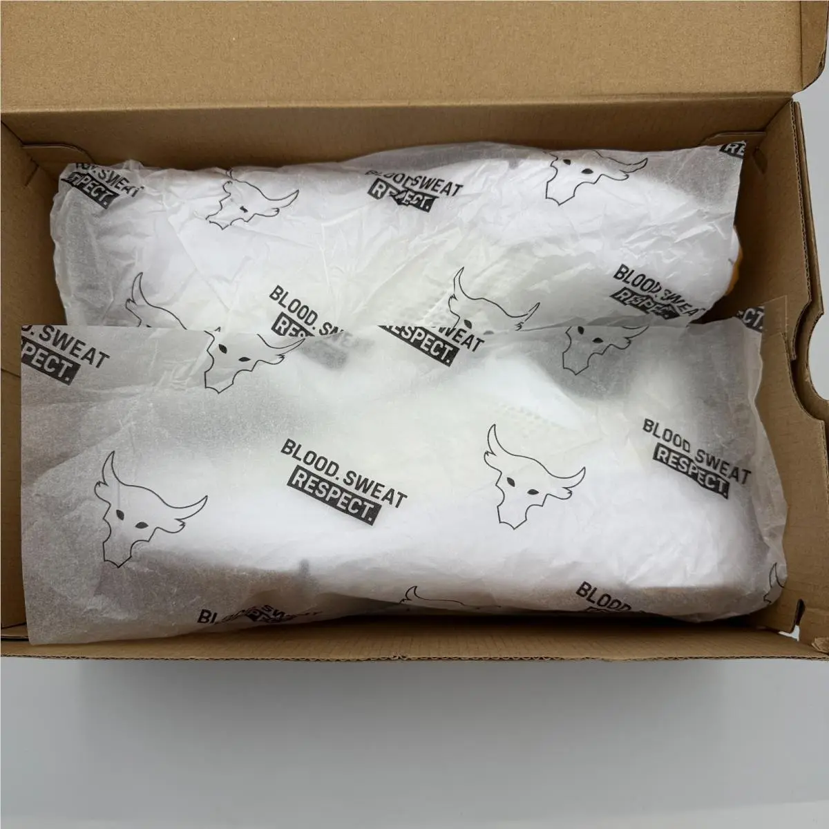 Under Armour shoes - Under Armour Project Rock BSR 5 - 3028301-100 - White 12