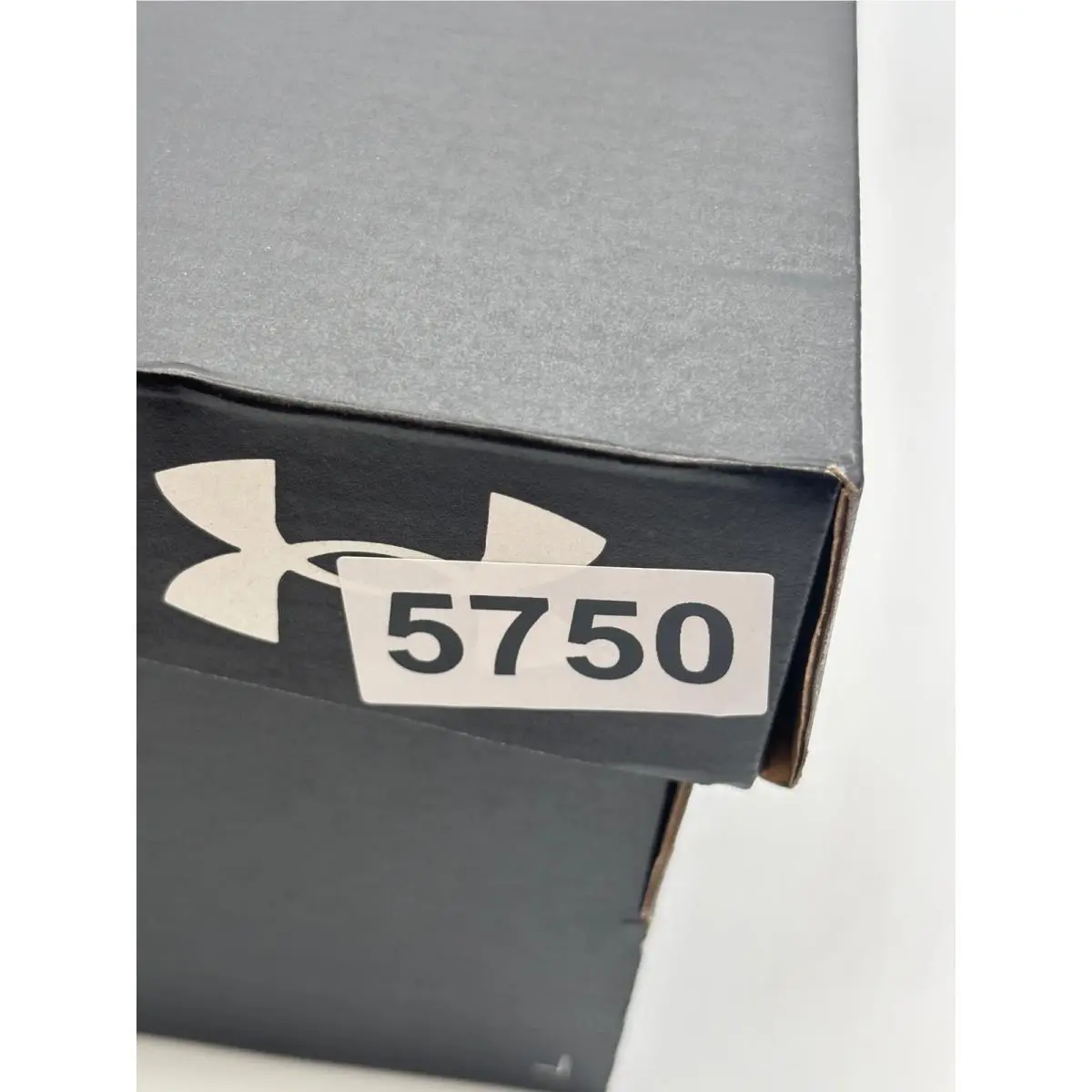 Under Armour shoes - Under Armour Charged Assert 9 4E - Black 6