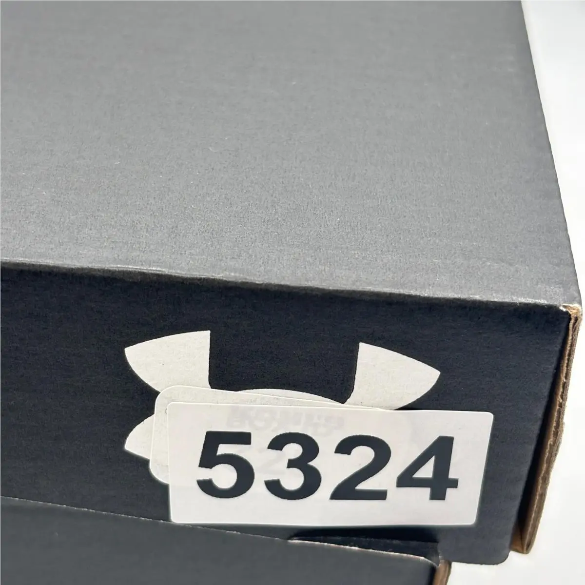 Under Armour shoes - UA Edge Suede - Edge Suede - Black 6
