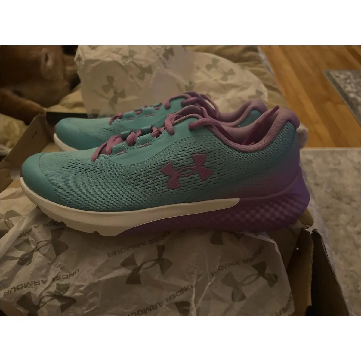 Under Armour shoes - Under Armor UA GGS CHARGED ROGUE 4 - 3027111-001 - Black 14