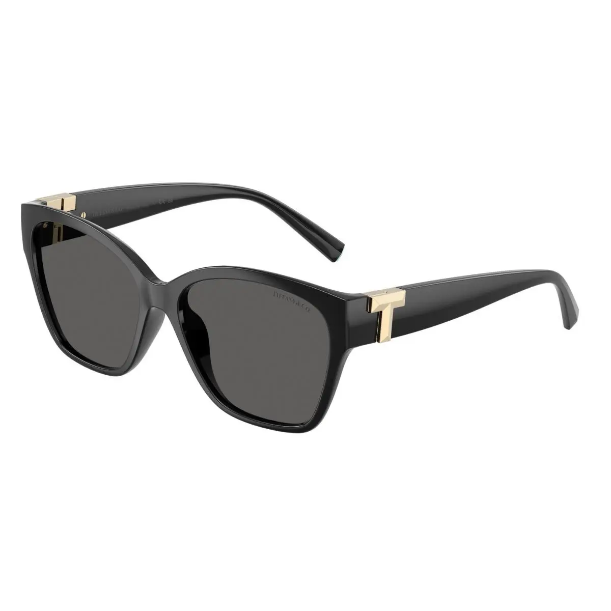 Tiffany 4254U Sunglasses 8001S4 Black by Tiffany & Co.