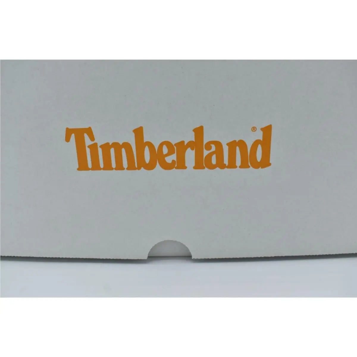 Timberland shoes - Timberland Ray City EK + - Beige (UPC: 196011185093) 10