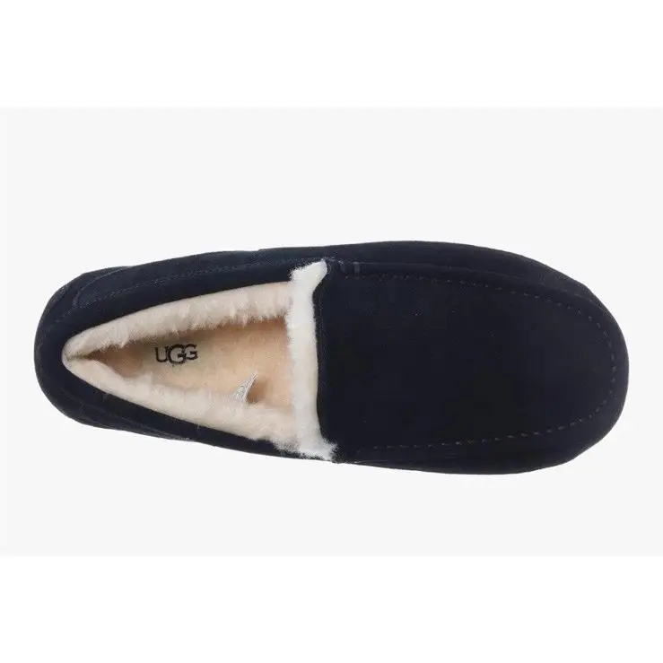 UGG shoes - UGG Ascot - Ascot - Black 4