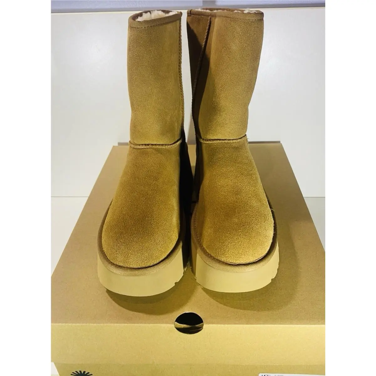 UGG shoes - Classic Short New Heights - Classic Short New Heights - Chestnut 3