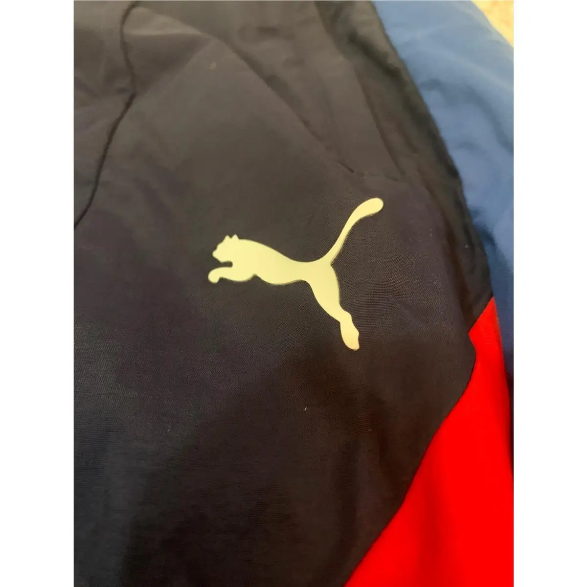 Puma clothing - Blue (UPC: 0192341570189) 2