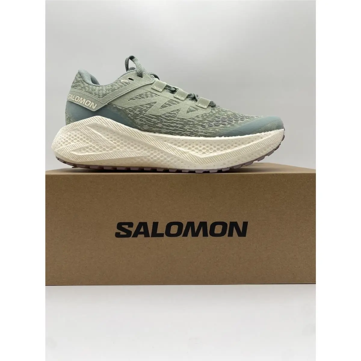 Salomon shoes - Salomon Aero Glide - Aero Glide - Multicolor 8