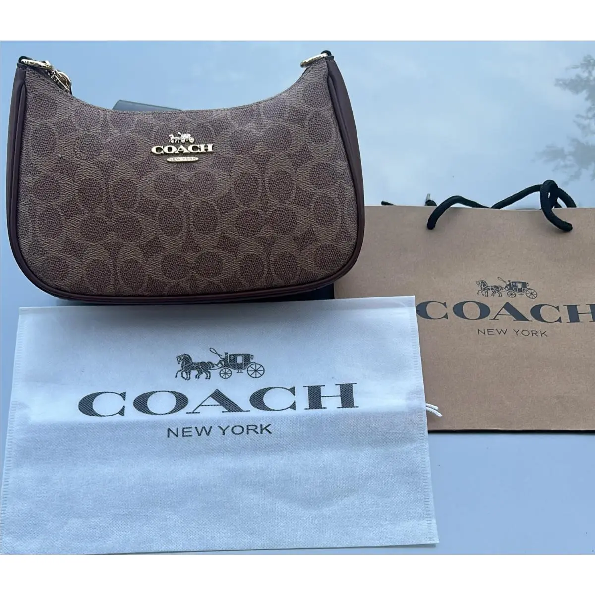 Teri Shoulder Bag In Signature Canvas Gold/tan/brown by Coach