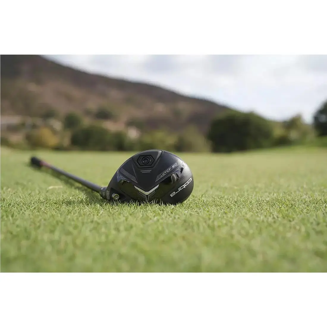 Cobra  - DS-ADAPT - Black 23