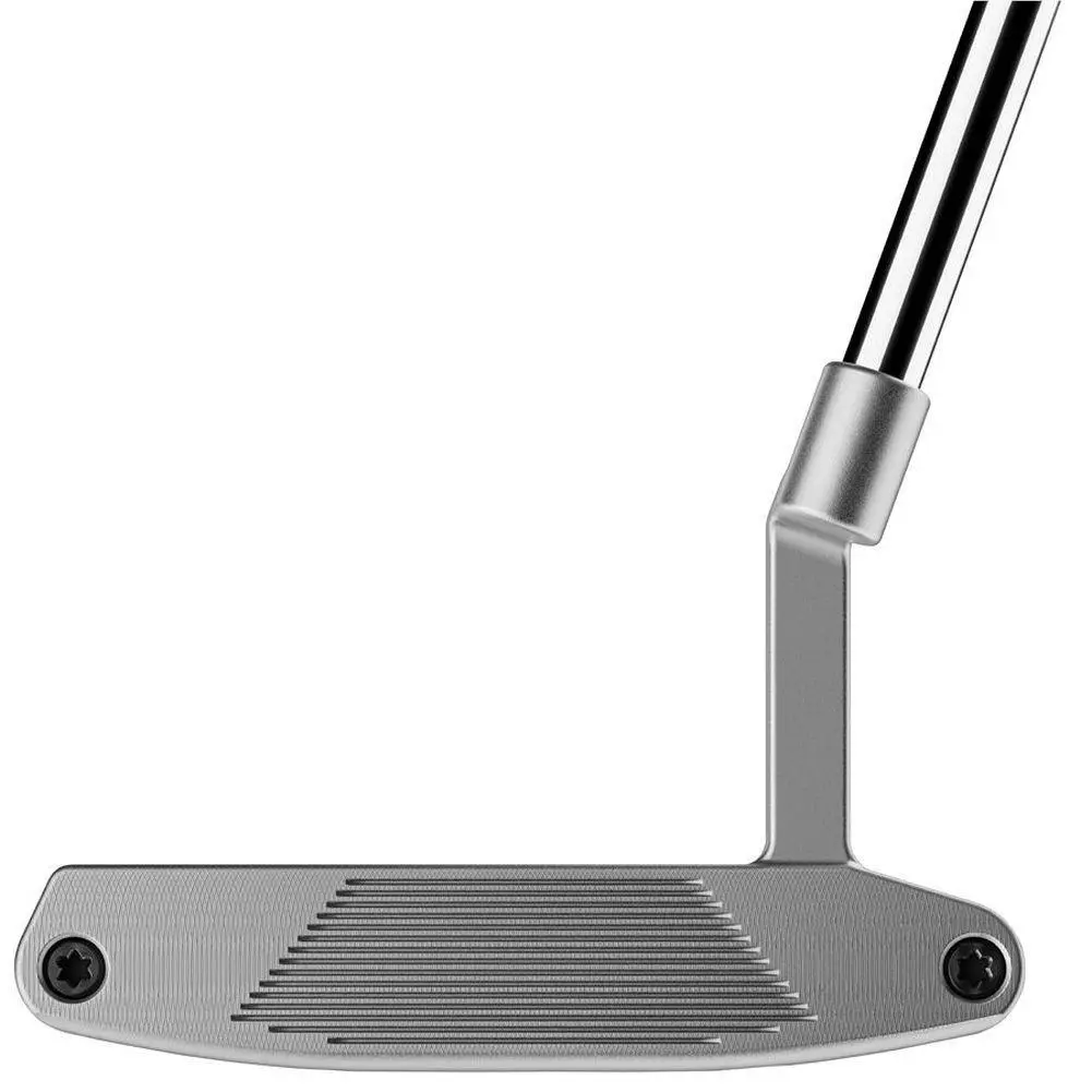 TaylorMade  - SYSTM2 Del Monte L-Neck (2026) - Silver/Black 1