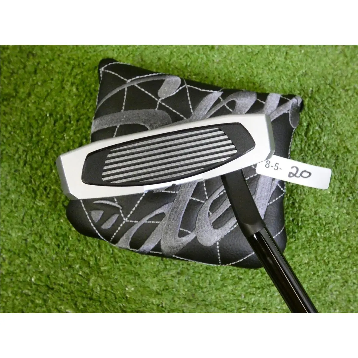 TaylorMade  - Spider GT Max - Spider Max 1