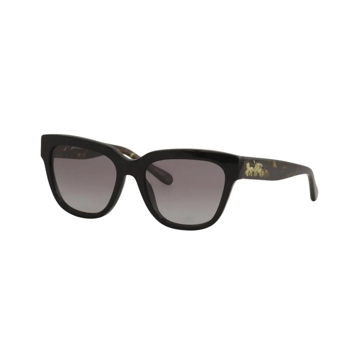 Womens Square Sunglasses Tortoise Acetate Frames Gold Logo OS by Coach