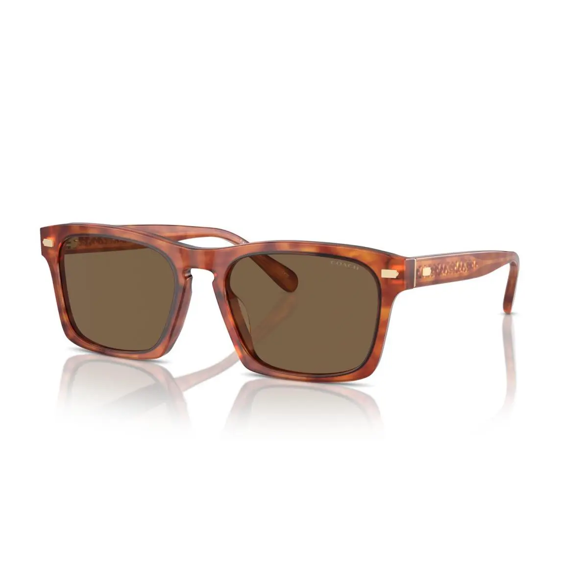 8397U Cr628 Sunglasses 577473 Tortoise by Coach