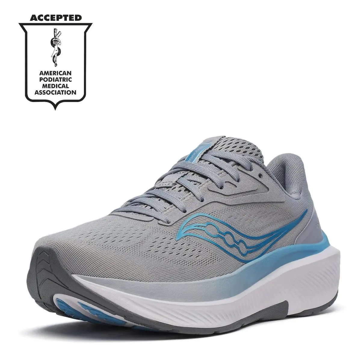 Women`s Saucony Echelon 10 Running Shoe S11044-104 Flint Fabric-and-synthetic