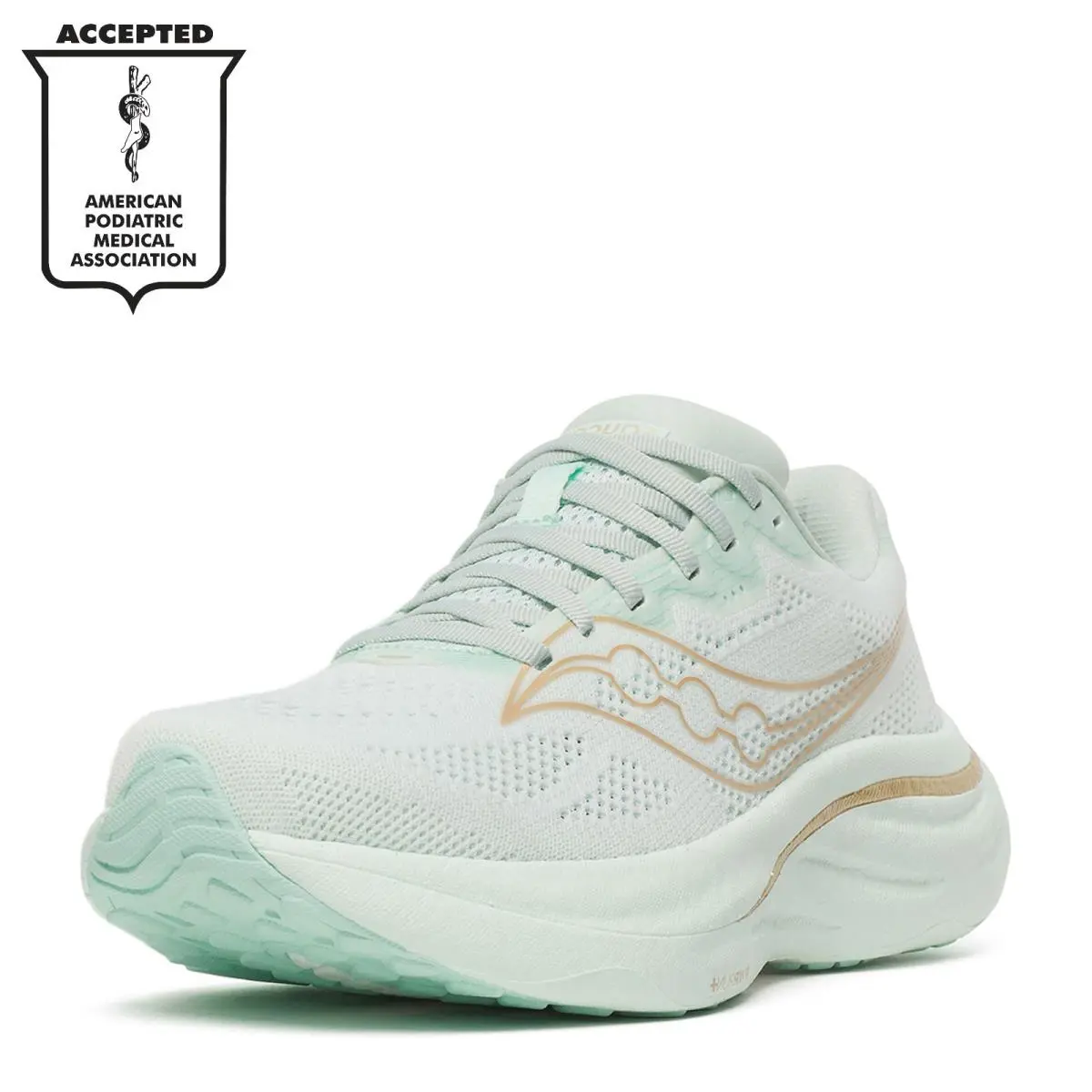 Women`s Saucony Ride 19 Running Shoe S11055-146 Mint Green Multi Fabric-and-syn