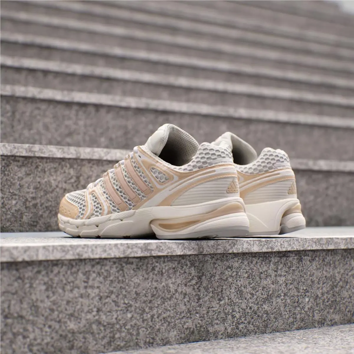 Adidas shoes - adidas Adistar Control 5 - Adistar Control - IH1799 - Ivory (UPC: 198321990282) 10