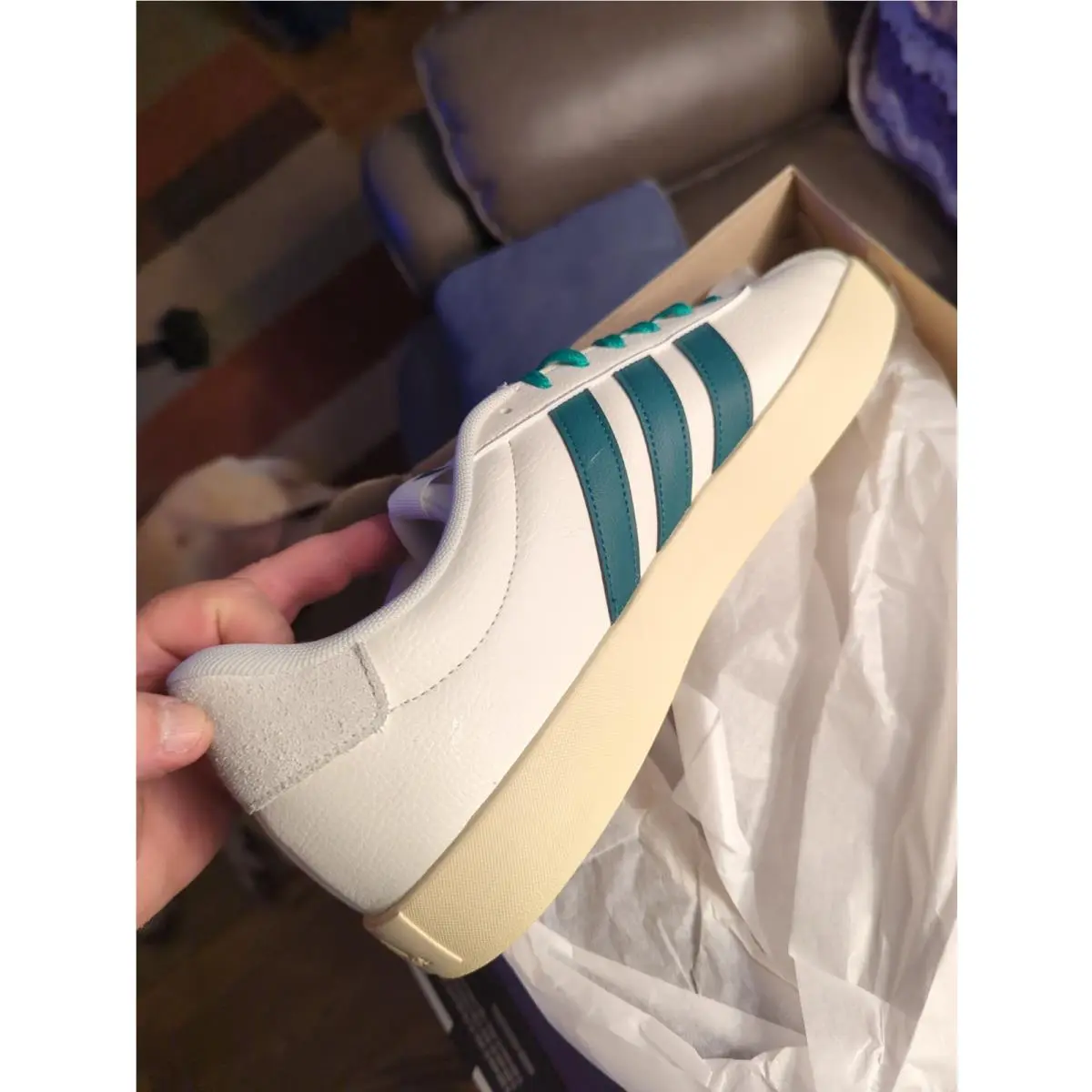 Adidas shoes - White 3