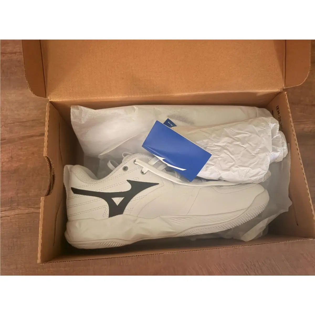 Mizuno shoes - Mizuno Wave Momentum Pro - Wave Momentum Pro - Volleyball - White 0